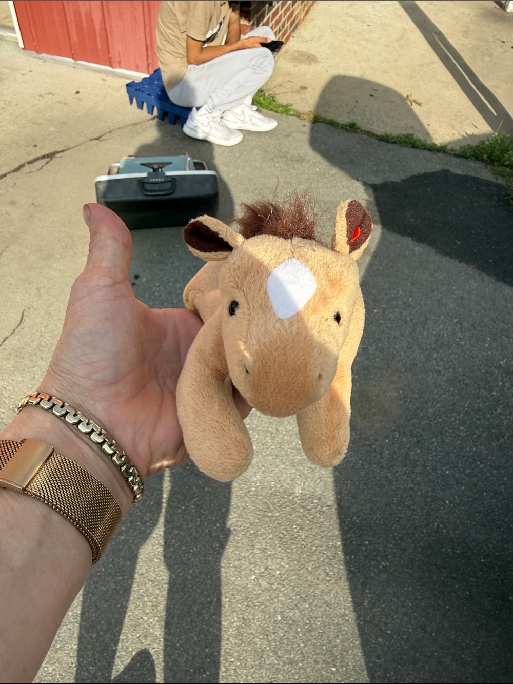 Vintage 1995 Derby the Horse ty collectable